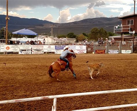 Gallery — New Mexico Rodeo Association