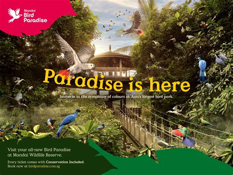 Bird Paradise Tickets in Singapore | Pelago