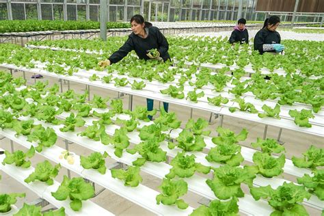 Interview: Big opportunity to develop agriculture technology in China ...