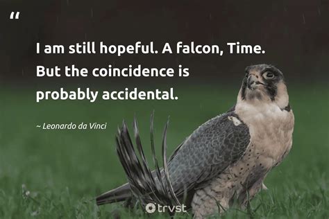 20 Falcon Quotes To Soar Your Spirits High