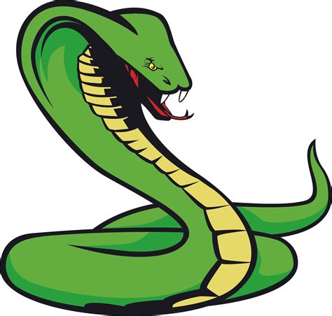 snake png clipart 10 free Cliparts | Download images on Clipground 2024