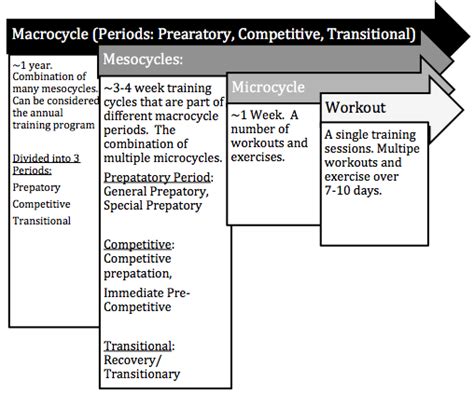 A Refresher on Traditional Periodization - Elite FTS | EliteFTS