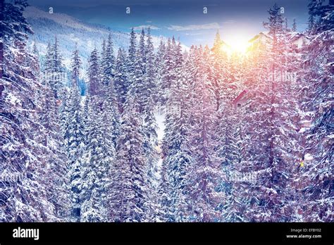 Amazing evening winter landscape Stock Photo - Alamy