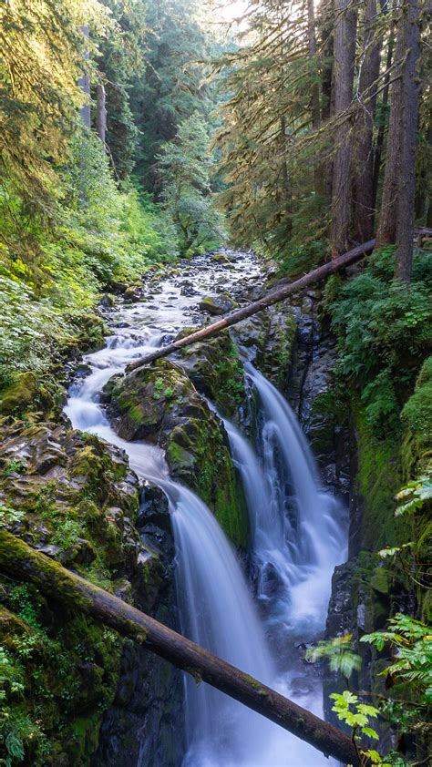 15 Incredible Waterfalls in Washington For Your Bucket List