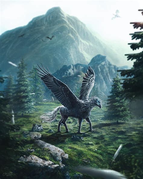 HIPPOGRIFF 🦅 | MYTHICAL Creature From Harry Potter Movie : r/photoshop