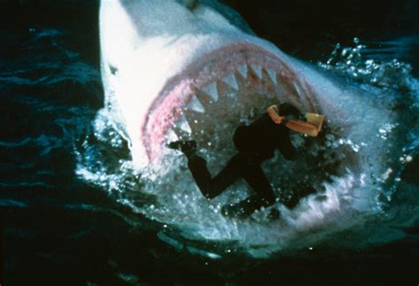 Shark Attack 3: Megalodon (2002) Movie Review