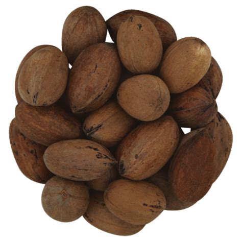 Pecans - In-Shell - Bulk, 1 each - Fred Meyer