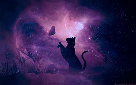 Download wallpaper 3840x2400 cat, silhouette, butterfly, starry sky ...