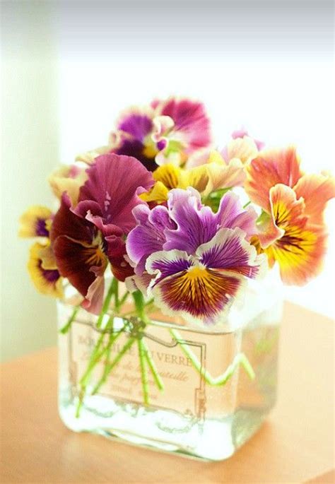 Pansies flowers arrangement - by mellow-stuff mie | Pansies flowers ...