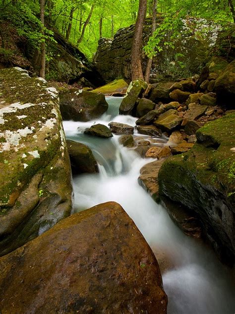 Smith Creek Nature Preserve in Northwest Arkansas. This 1,200 acre area is protected by The ...