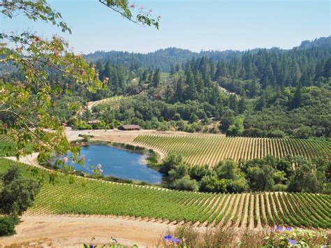 Napa Valley Wine Tours & Packages | Chloe Johnston Experiences
