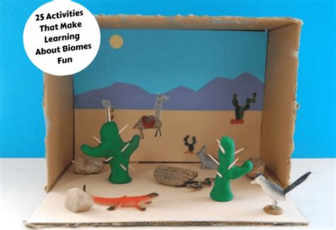 25 Activities That Make Learning About Biomes Fun - Teaching Expertise