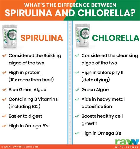 Spirulina vs Chlorella | Health and wellbeing, Health and nutrition ...