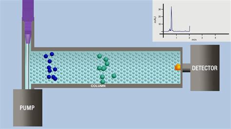 Chromatography animation - YouTube