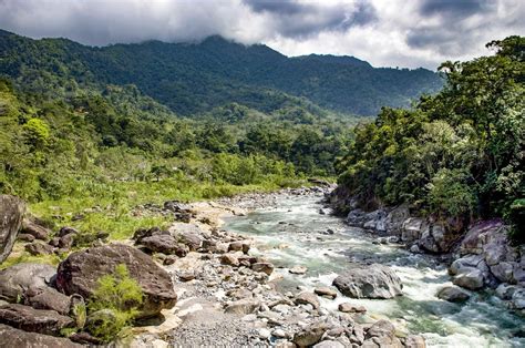 Visit Pico Bonito National Park: Exclusive Travel to Honduras | LANDED Travel