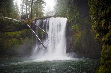 18 Incredible Oregon Hikes Under 5 Miles | That Oregon Life