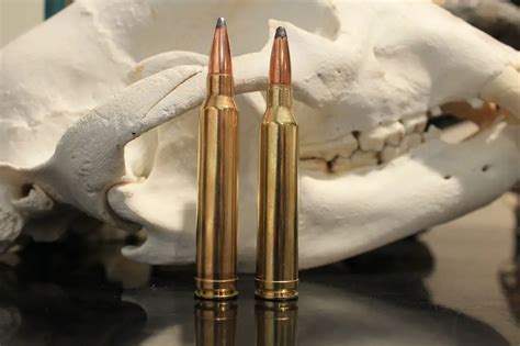 7mm Rem Mag Vs 300 Win Mag What You Know May Be Wrong | Free Nude Porn ...