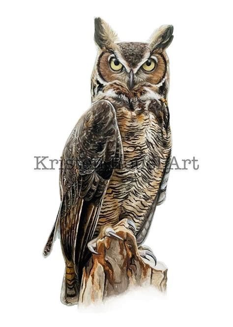 Great Horned Owl Detailed Print of Oil Painting - Etsy