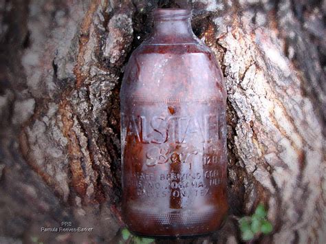 Old Falstaff Beer Bottle Photograph by Pamula Reeves-Barker