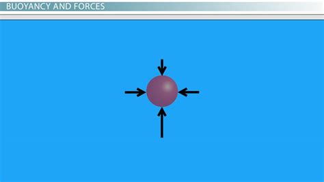 Predict Whether an Object Will Float or Sink: Understanding Density ...