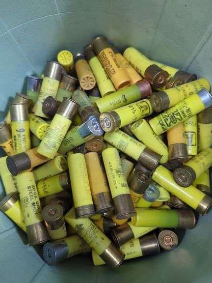 20 ga Shotgun Ammo, Brands Include Winchester, Federal , Wolf, PMC, Remington, And Kent, Approx ...