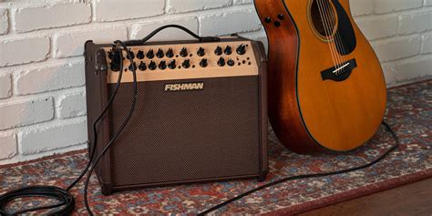 Acoustic vs Electric Guitar Amps – Do You Need Both?