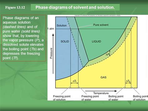 Understanding the Solute and Solvent Relationship