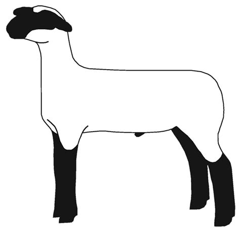 Free Show Lamb Clip Art | Sheep Graphics | Clublamb Images