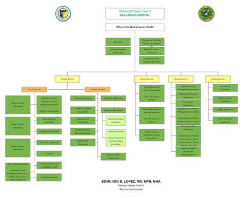 This Hospital org chart template sample is useful for displaying ...