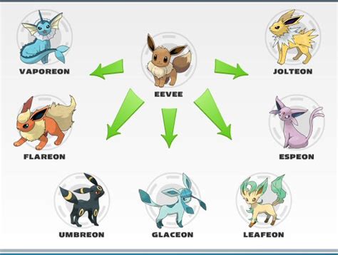 Mikhel Anggelo: Evolution Pokemon : Eevee