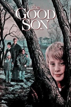 The Good Son (1993) — The Movie Database (TMDb)