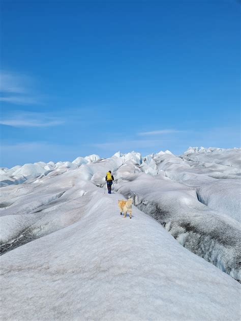 Reindeer Herders Trail — Wild Greenland