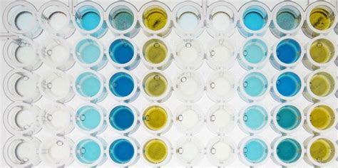 What is the Difference Between Colorimetric and Fluorometric Assay | Compare the Difference ...