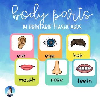 Body parts - vocabulary flashcards by Teach and Coffee by L | TpT