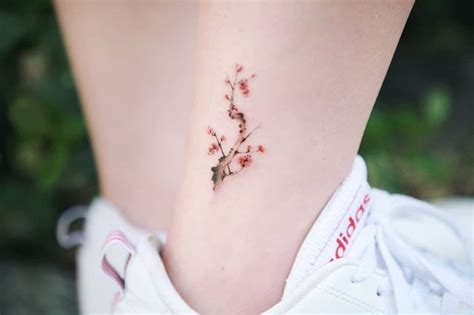 One of my favorite flowers is plum blossom | Tatoo, Tatuagens, Tatuagem