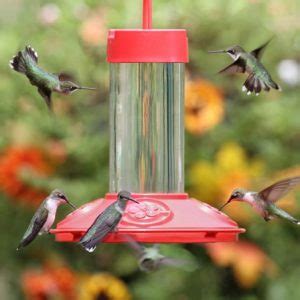 Perky Pet Hummingbird Feeder - Wild Bird Habitat Store