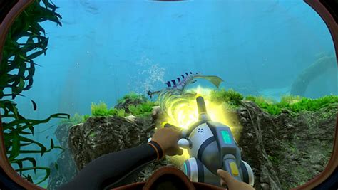 All Subnautica biomes – Locations, depths, and harvesting nodes - Gamepur