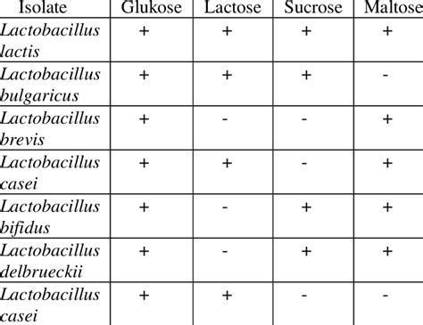 Type of fermentation of Lactobacillus sp.[10] | Download Scientific Diagram