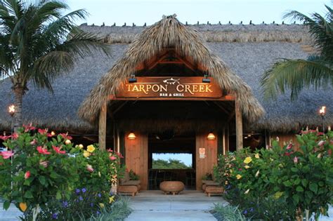 Tarpon Creek Bar & Grill, Marathon - Restaurant Reviews, Phone Number & Photos - TripAdvisor