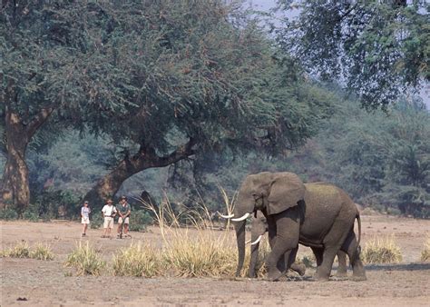 The Lower Zambezi National Park in Zambia | Audley Travel