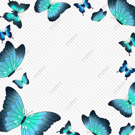 Free Flower And Butterfly Border Clipart