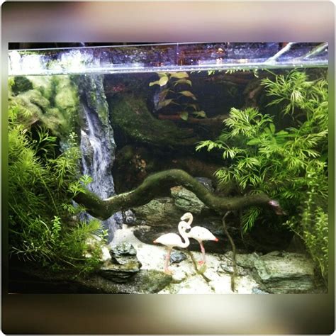 Handcrafted Underwater Waterfall Aquarium, Hobbies & Toys, Stationary ...