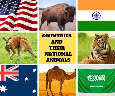 Countries and their National Animals - Remember Animals