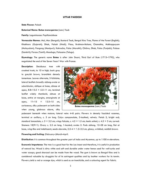 (PDF) State Flower of Uttar Pradesh