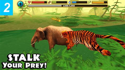 Tiger Simulator - By Gluten Free Games - part 2 - Compatible with iPhone, iPad, and iPod touch ...