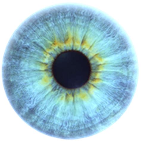 Blue Eyes Anatomy Iris Detail Human Eye Close Up Free PNG | PNG All