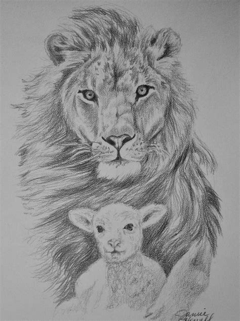 The Lion and the Lamb Drawing by Janice Howell - Pixels