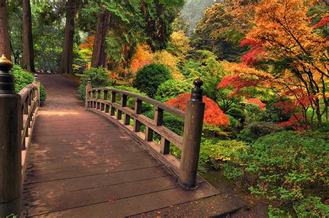 Image bridge Nature Gardens Bush