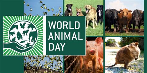 World Animal Day - Integrate Sustainability