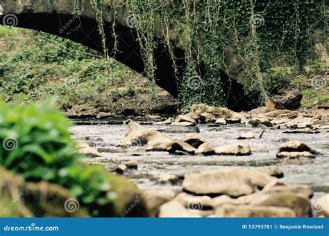 Ivy Covered Bridge Over River Stock Image - Image of gentle, river ...